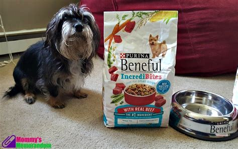 beneful dry dog food puts meat  friendswithbeneful ad