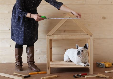 dog house plans   build