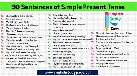 sentences  simple present tense  sentences english study