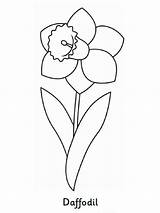 Daffodil Coloring Pages Recommended sketch template