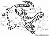 Mewarnai Buaya Crocodile Satu Persatu Gambarnya Sekaligus Adalah sketch template