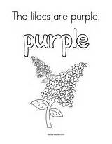 Purple Coloring Lilacs Pages Box Twistynoodle sketch template