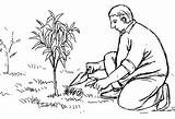 Tree Planting Drawing Plant Getdrawings sketch template