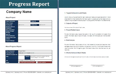 progress report template  report examples