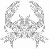 Crab Coloring Zentangle Pages Cancer Adult Zodiac Astrology Quotes Turtle Sign Colouring Illustration Stylized Antistress Mandala Stock Adults Vector Dreamstime sketch template