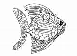 Fish Zentangle Step Coloring Fishes Big Style Pages Adult Animals Olivier Nature sketch template