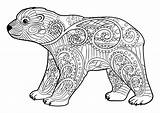 Ours Bears Osos Colorear Orsi Adulti Ourson Zentangle Justcolor Schwere Coloriages Stampare Animali Jolis élégants Orsetti Difficiles Adultes Cub Assis sketch template