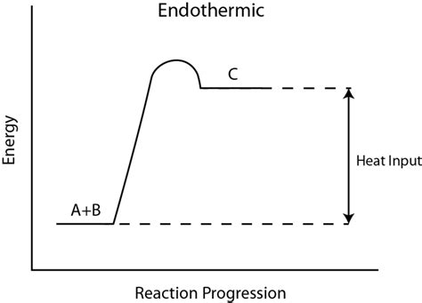 exothermic  endothermic processes introduction  chemistry