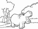 Hippo Mitraland sketch template