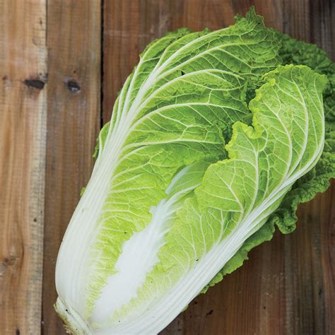 summer produce choice ingredient napa cabbage cooking light