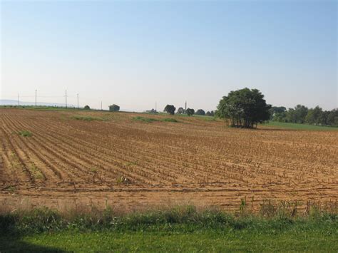 photo confederate retreat   cornfield