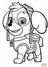 Coloring Patrol Paw Skye Pages Printable Supercoloring sketch template
