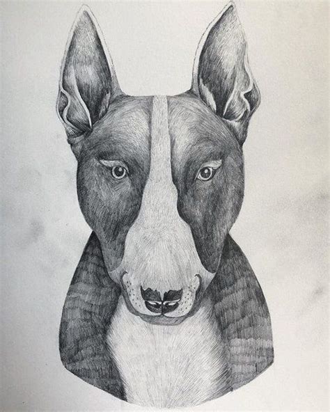 practicing drawing domestic animals todayand