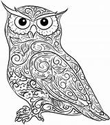 Coloring Owl Pages Owls Print Adult Adults Mandala Baby Printable Difficult Horned Animals Great Flying Cute Drawing Color Screech Colouring sketch template