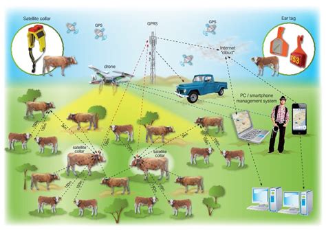 drone cattle monitoring priezorcom