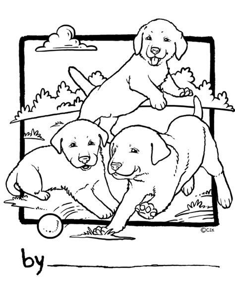 lab puppy coloring pages labrador puppy labrador puppy coloring page