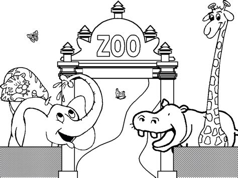 printable zoo coloring pages  kids