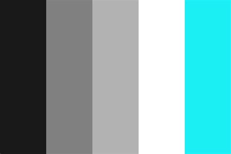 Black White And Grey Color Palette