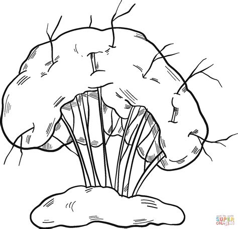 winter tree coloring page  printable coloring pages