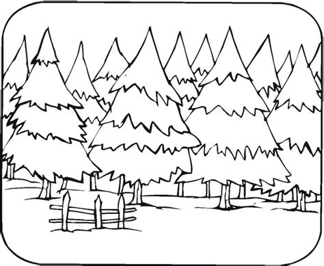 pine tree forest coloring page