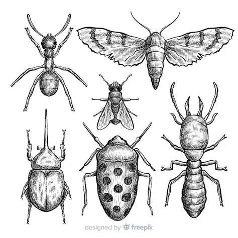 realistic hand drawn insects sketch set vector