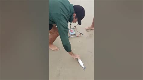 bait drop  diy fishing drone youtube