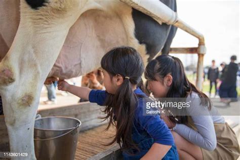 Milking Girls Photos And Premium High Res Pictures Getty Images
