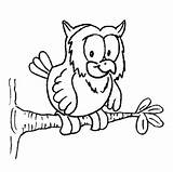 Eulen Ausmalbilder Owl Kleurplaten Malvorlage Uilen Eule Uil Ausmalbild Kleurplaat Burung Hantu Mewarnai Tekeningen Owls Hiboux Coloriages Tiere Animierte Animaatjes sketch template