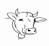 Cow Template Head Coloring Outline Drawing Animal Printable Print Pages Templates Color Getcolorings Getdrawings sketch template