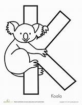 Koala Activities sketch template