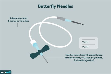 butterfly needles explained  phlebotomy training