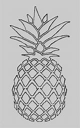 Pineapple Drawing Ananas Zeichnen Zeichnung Tumblr Gemerkt Von Google Mit sketch template