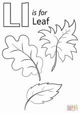 Letter Coloring Leaf Pages Worksheets Preschoolers Leafs Printable Sheets Leaves Colouring Preschool Fall Supercoloring Words Paper بحث الصور عن Autumn sketch template
