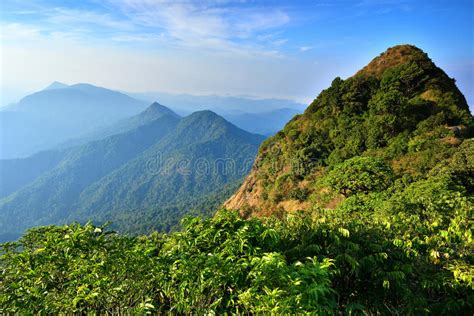 mountain  thailand stock photo image  sunny landscape