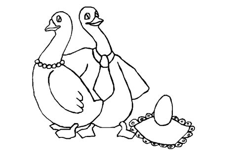drawing birds  animals printable coloring pages