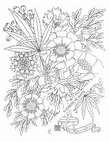 Coloring Pages Cannabis Weed Printable Cynthia Emerlye Getdrawings Getcolorings Plant sketch template