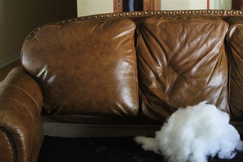 restuffing leather sofa cushions review home