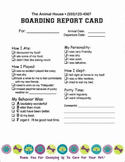 pet report card template fresh   cat sitting report card template