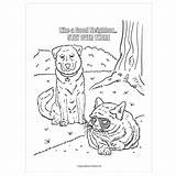 Grumpy Coloring Cat Pages Designlooter Getcolorings sketch template