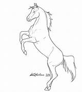 Horse Rearing Coloring Pages Sketch Drawings Lineart Outline Pencil Drawing Deviantart Arabian Animals Horses Stallion Color Mustang Printable Print Step sketch template
