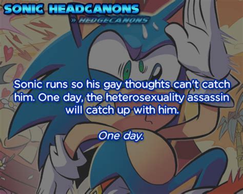 sonic runs so his gay thoughts can t catch him one day the heterosexuality assassin will catch