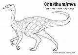 Coloring Dinosaur Ornithomimus Long Neck Dinosaurs Pages Print Dino Color Sheets Popular Choose Board Coloringhome Comments sketch template