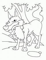 Coloring Wolf Pages Peter Big Bad Baby Book Arctic Fox Library Clipart Popular Coloringhome sketch template