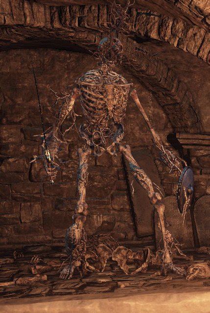 Root Skeleton Dark Souls 3 Wiki