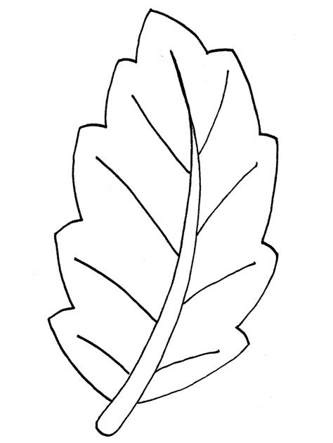 leaves colour  colouring pages