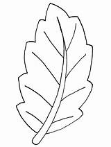 Leaf Coloring Pages Printable Kids Leaves Pot Fall Template Gif Coloriage Feuilles Colorear Hojas Imagen sketch template