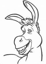 Shrek Coloring Drawings Donkey Fiona Movie sketch template