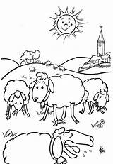 Coloring Pages Sheep Farm Animal Kids Eid Adha Al Coloriage Book Printable Scene Color Lamb Print Pré Moutons Islam Un sketch template