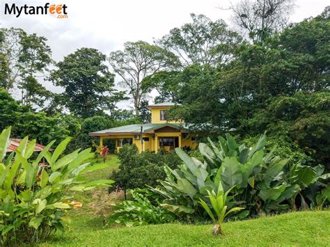 tips  advice  picking  perfect airbnb  costa rica