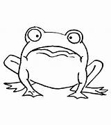 Broasca Frog Print Uimita Colorat Clopotel sketch template